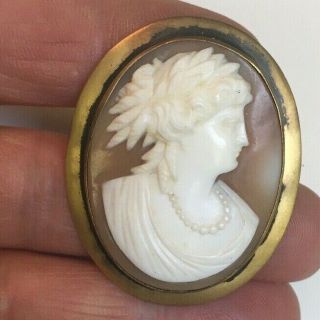 Antique Victorian Detailed Hand Carved Shell Cameo Brooch In Brass Frame