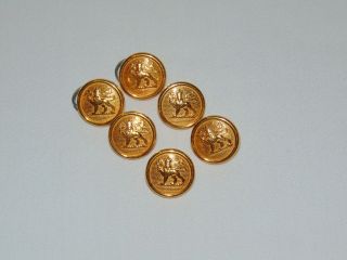 Vintage Antique Canadian Brass Buttons Lion Crown & Maple Leaf