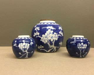 Three Antique Chinese Blue/white Hand - Painted Prunus Ginger Jars.