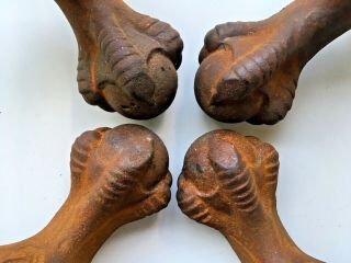Set Of 4 Antique Reclaimed Ornate Cast Iron Clawfoot Tub Feet Eagle Claw Bathtub