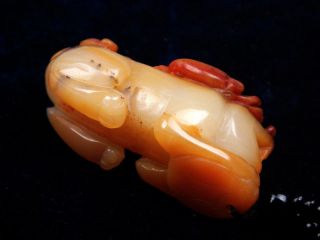 Blood Jade Hand Carved Pendant w/ Beads Necklace Treasure Monster Pi - Xiu 100818 6