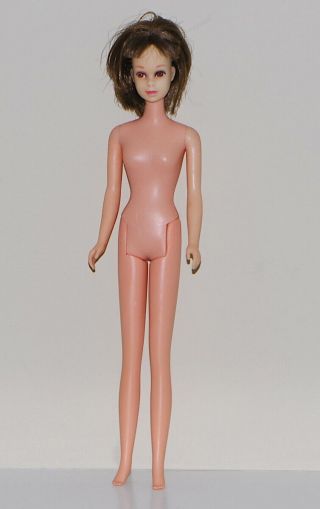 Vintage Francie Doll Barbie 