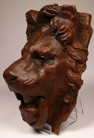 Antique 19th Century Carved Wood Lion Mask - Wall Mounted Lion Head