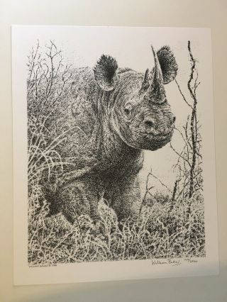 Vintage 1988 William Baker Signed Limited Edition Rhino Print 120 /2500