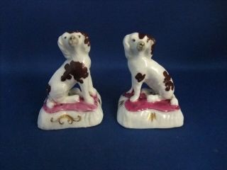 Antique 19thc Staffordshire Pottery Figures Of Spaniel Dogs C1840 - Ex D.  Rice