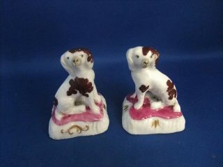 ANTIQUE 19THC STAFFORDSHIRE POTTERY FIGURES OF SPANIEL DOGS C1840 - EX D.  RICE 2