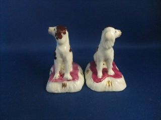 ANTIQUE 19THC STAFFORDSHIRE POTTERY FIGURES OF SPANIEL DOGS C1840 - EX D.  RICE 3