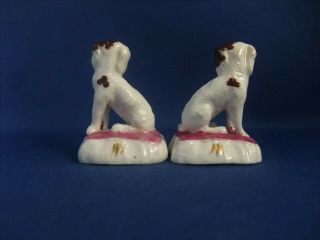 ANTIQUE 19THC STAFFORDSHIRE POTTERY FIGURES OF SPANIEL DOGS C1840 - EX D.  RICE 4