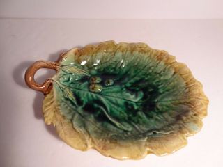 Antique Majolica Large Leaf Dish With Branch Loop Handle Pristine Cond.