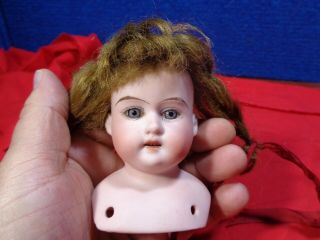 Antique Bisque Doll Head.  A - 4