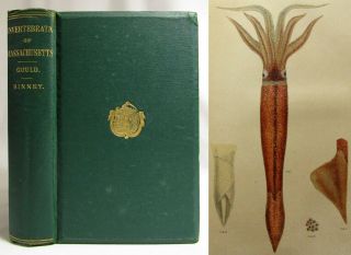 Antique 1870 Invertebrata Of Massachusetts Natural History Marine Biology Gould