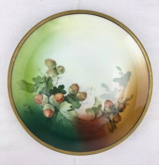 Antique Autumn Acorns Hand Painted Porcelain Plate 8.  75 " B T Co Favorite Bavaria