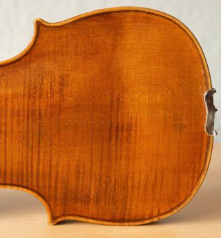 old violin 4/4 geige viola cello fiddle label AUGUSTO LIORNI 10