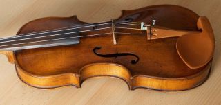 old violin 4/4 geige viola cello fiddle label AUGUSTO LIORNI 11