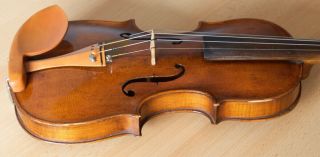 old violin 4/4 geige viola cello fiddle label AUGUSTO LIORNI 12