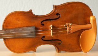 old violin 4/4 geige viola cello fiddle label AUGUSTO LIORNI 3