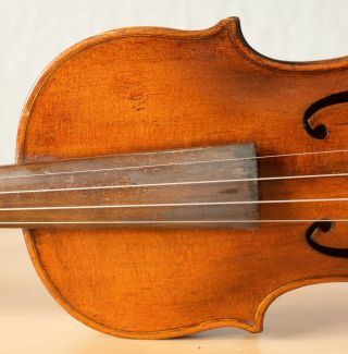 old violin 4/4 geige viola cello fiddle label AUGUSTO LIORNI 4