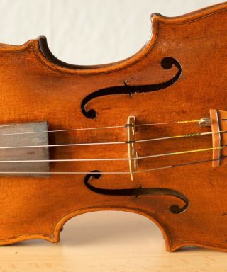 old violin 4/4 geige viola cello fiddle label AUGUSTO LIORNI 5