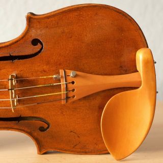 old violin 4/4 geige viola cello fiddle label AUGUSTO LIORNI 6