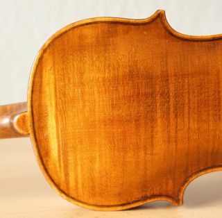 old violin 4/4 geige viola cello fiddle label AUGUSTO LIORNI 8