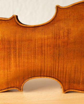 old violin 4/4 geige viola cello fiddle label AUGUSTO LIORNI 9