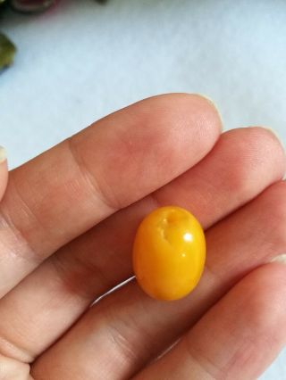 Antique Egg Yolk Amber Beads Loose 11 6
