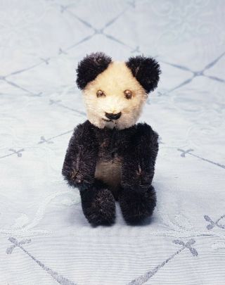 Rare Schuco Miniature Panda Bear 3.  5 " 1950s Nr