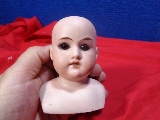 Antique Bisque Doll Head.  A - 6