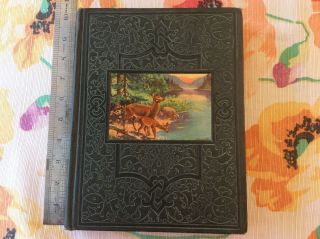 1949 Wonder World Vol.  3 - Vintage Nature Book Children 