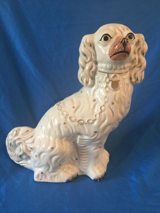 Large Antique 19c English Staffordshire Spaniel Dog With Gold Gilt Accents