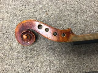 Vintage Antique Violin Neck And Fingerboard