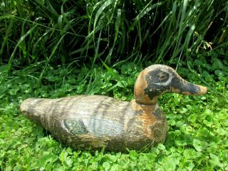 Antique Primitive Wooden Mallard Duck Decoy W Paint Cabin Decor Glass Eyes