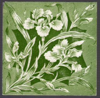 T & R Boote C1895 - Green Iris Flowers - Antique Victorian Aesthetic Mov Tile