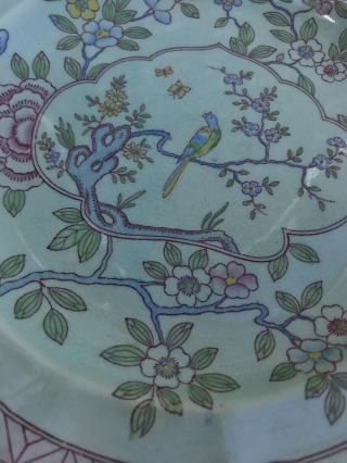 7 Antique Adams Calyx Ware SINGAPORE BIRD Luncheon Plates RARE 6