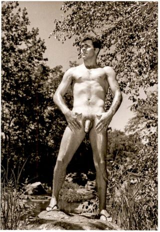 Vintage Male Nude - 1950 