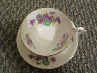 Royal Grafton Bone China Teacup And Saucer Set With Violets And Gold Trim Nr