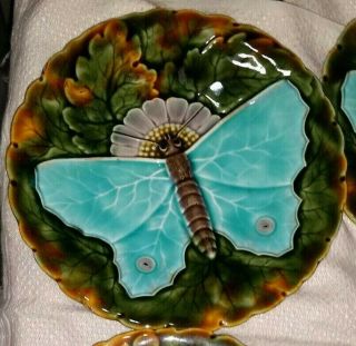 Antique Austrian Blue Moth Majolica Plate Signed Schutz Blansko Art Nouveau