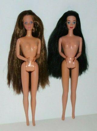 Barbie Whitney Doll,  Tara Lynn Raven Hair Pj Steffie Face Nude Dolls