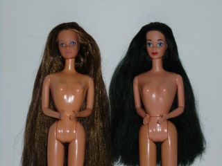 Barbie Whitney doll,  TARA LYNN Raven Hair PJ Steffie Face Nude Dolls 2