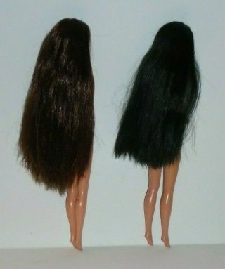 Barbie Whitney doll,  TARA LYNN Raven Hair PJ Steffie Face Nude Dolls 3