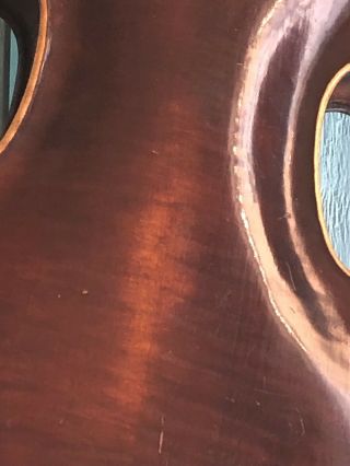 Old German Stainer Violin 5