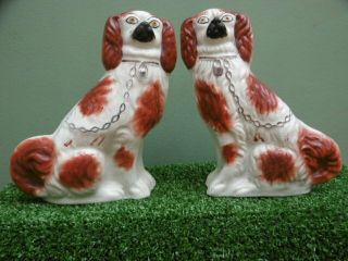 Pr 19thc Staffordshire Red & White Spaniels In Sitting Pose C.  1860