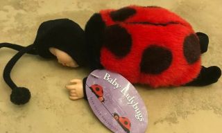 Anne Geddes Black Red Baby Ladybug 1998 Mini Bean Bag Plush 9 "
