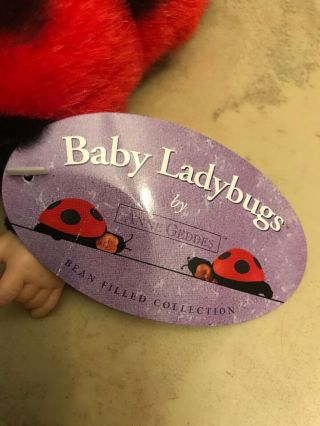 Anne Geddes Black Red Baby Ladybug 1998 Mini Bean Bag Plush 9 