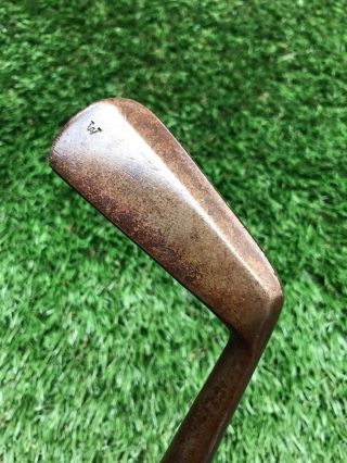 Antique Vintage “w” Muscle Back Hickory Shaft “hand Forged” Mashie “6”