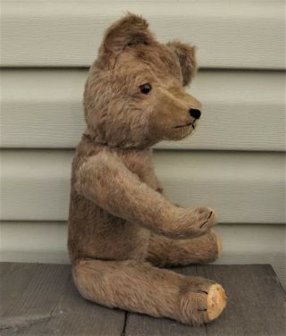 ANTIQUE 1920s 1930 ' s MOHAIR Jointed Glass Eyes Excelsior Stuffing VTG TEDDY BEAR 2