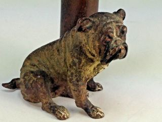 Antique English Cast Bronze English Bulldog With Single Bud Vase Or Pen Holder