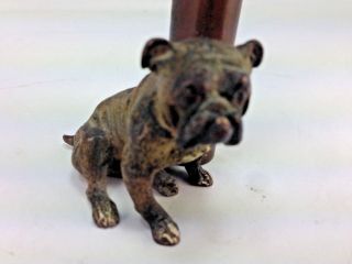 Antique English Cast Bronze English Bulldog With Single Bud Vase or Pen Holder 3