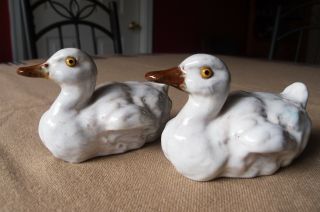 Pair Antique J Filmont Caen France White & Brown Tin Glazed Terra Cotta Ducks
