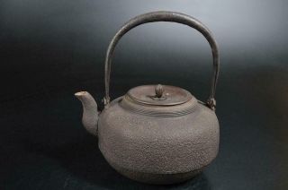 S9770: Japanese Old Iron Shapely Tea Kettle Teapot Tetsubin Animal Tea Ceremony